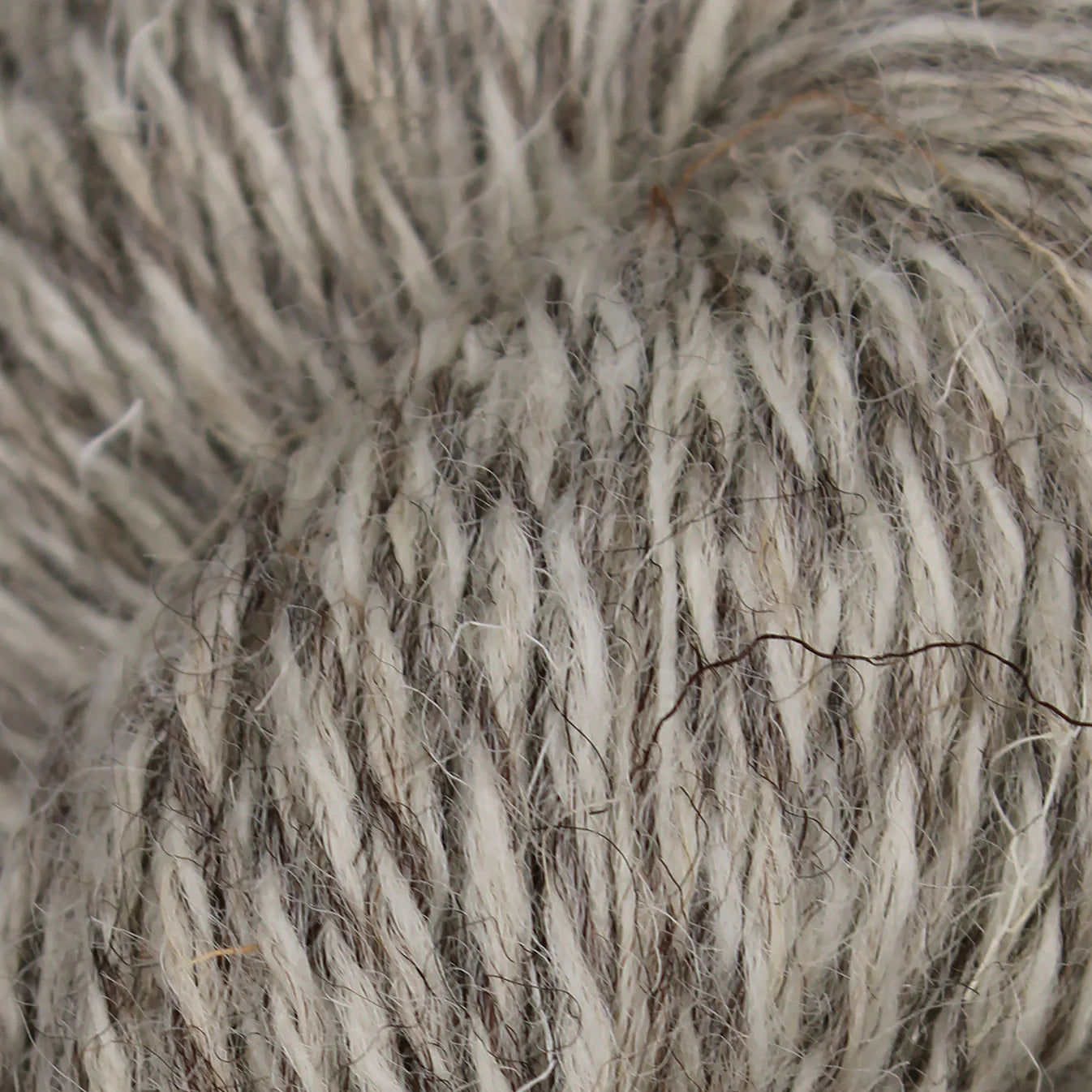 Baa Ram Ewe British Breeds Double Knit 100g Yarn