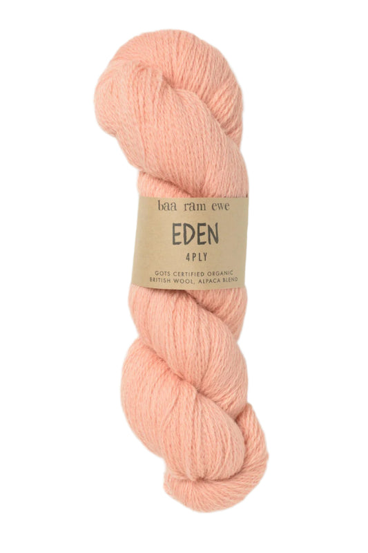 Baa Ram Ewe Eden 4 Ply 100g Yarn