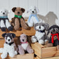 King Cole Scruffs Toy Dog Knitting Pattern Book 1