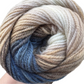 James C. Brett Aurora Double Knit 100g Yarn